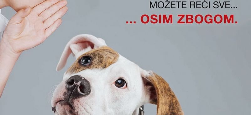 DOG POPULATION CONTROL IN SERBIA